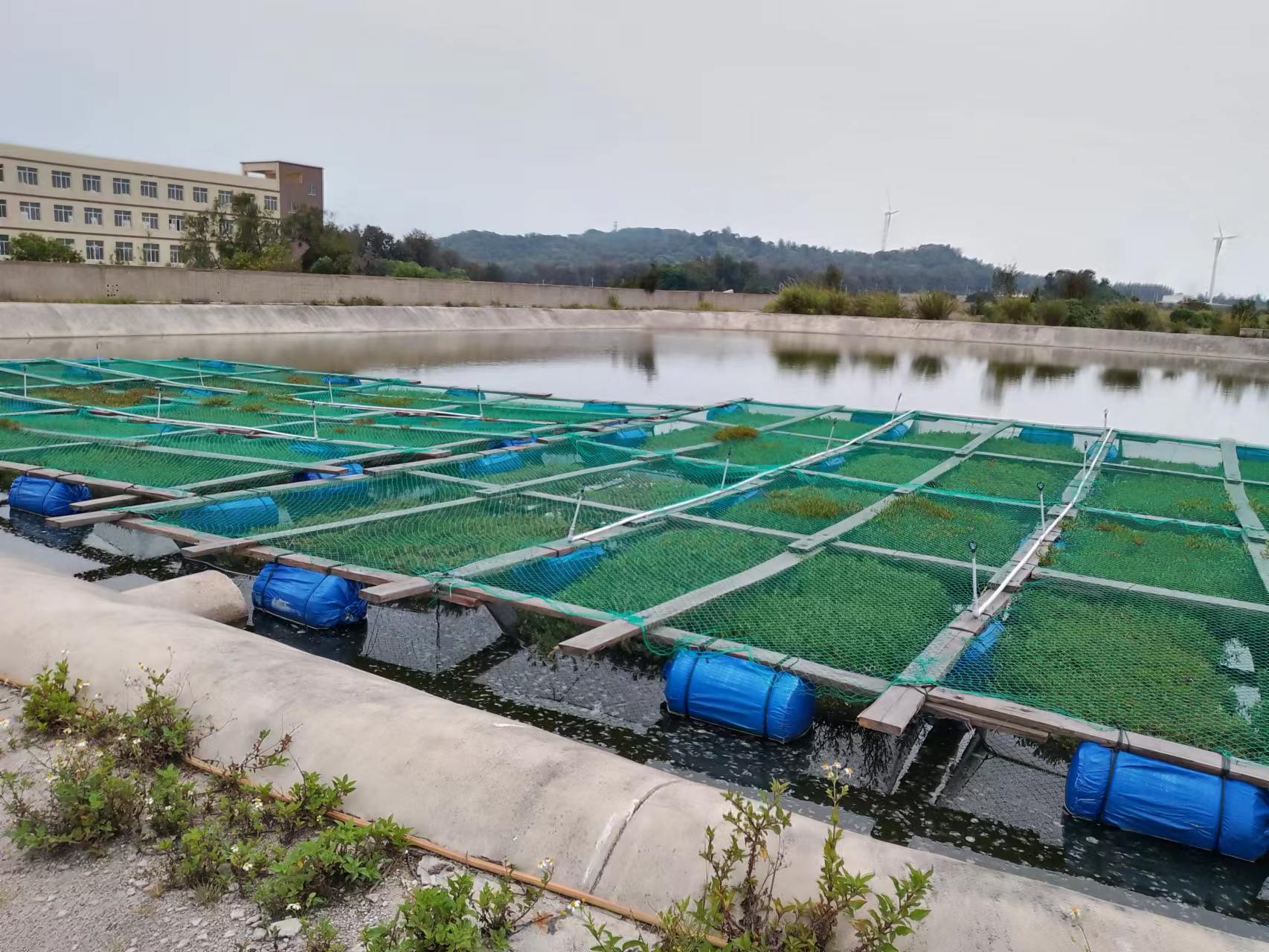 水产养殖废水处理项目(福鼎市渔润水产养殖专业合作社)